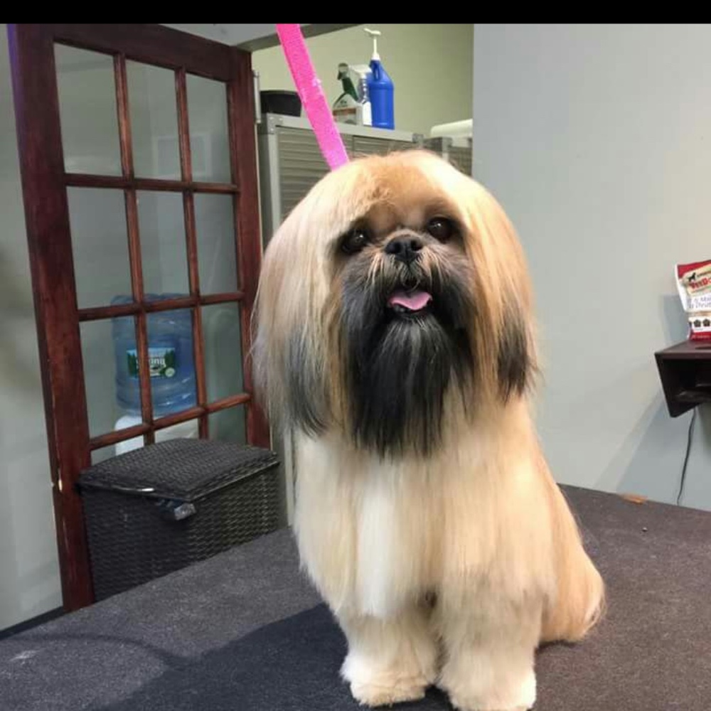 Meet your Posher, Charles